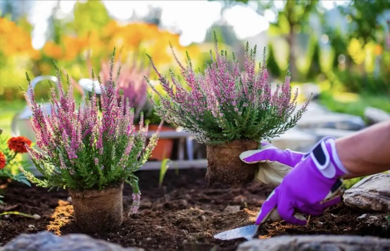 ¿Cuánto cuesta realmente arreglar tu jardín? Descubre las tarifas actuales de los profesionales