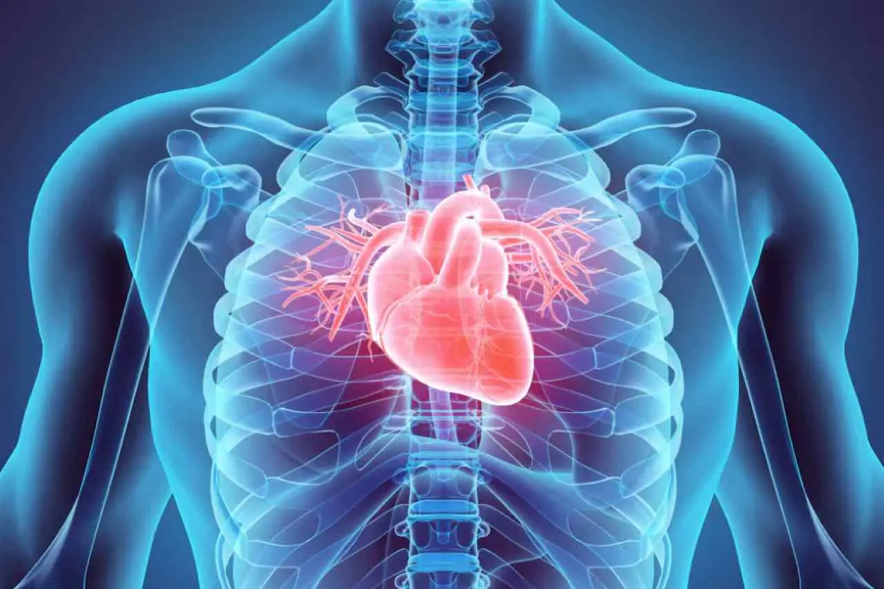 La raíz oculta de las enfermedades cardiovasculares y cómo puedes evitarla hoy mismo