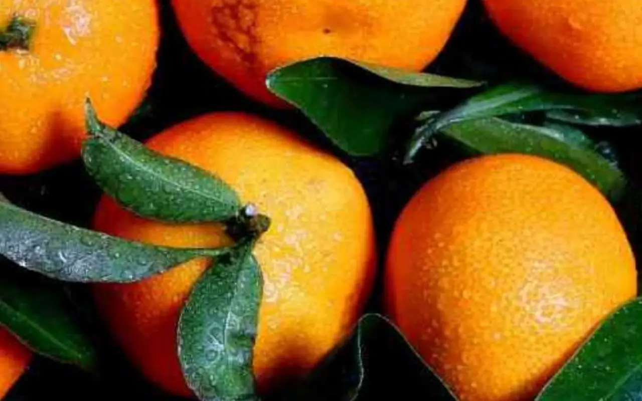 ¿Quieres borrar manchas y arrugas? Esto es lo que la vitamina C hace en tu piel