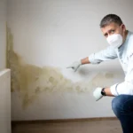 El truco definitivo para detectar humedad oculta en tu casa antes de que cause daños