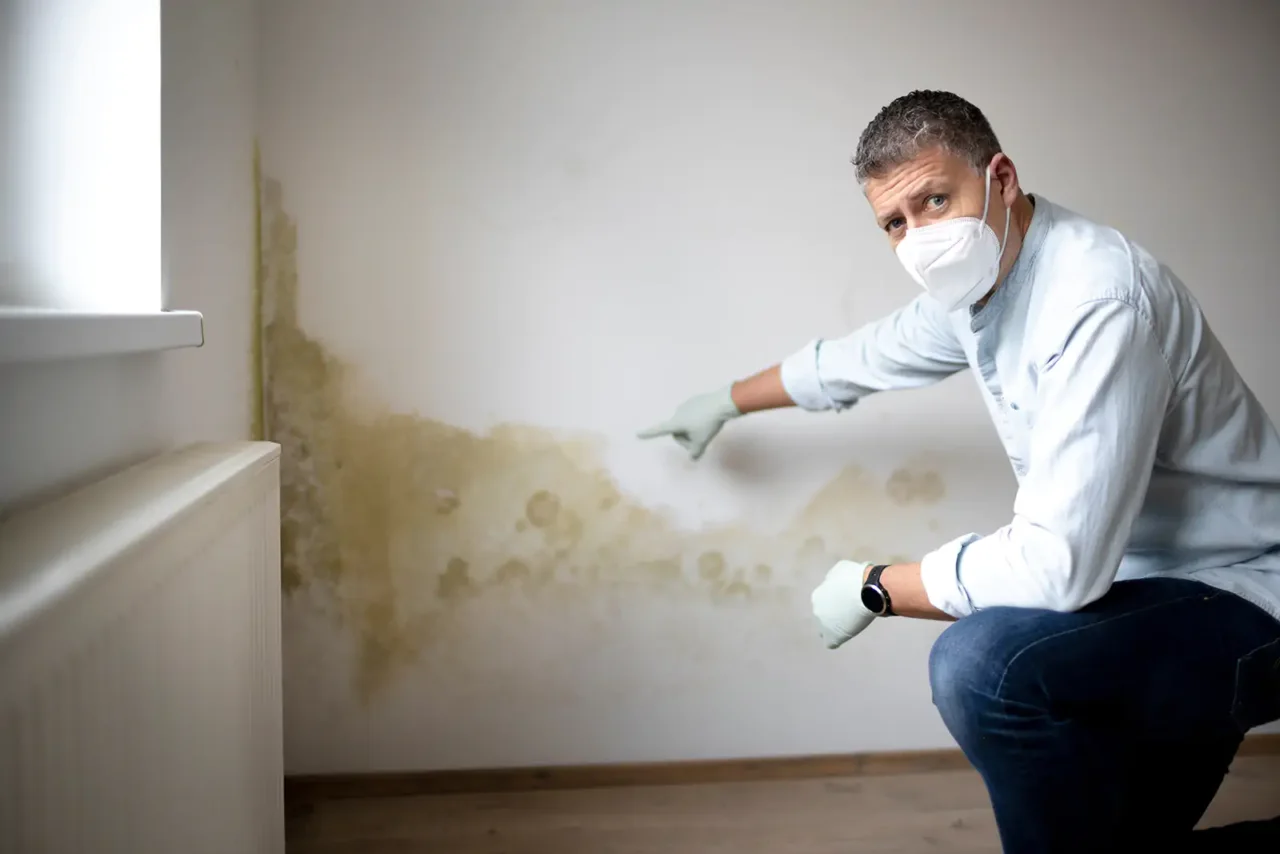 El truco definitivo para detectar humedad oculta en tu casa antes de que cause daños