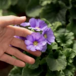 ¿Sabías que la primavera no solo despierta las flores? Así transforma todo tu entorno en secreto