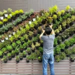 El precio real de instalar un jardín vertical en tu casa que las empresas no te dicen